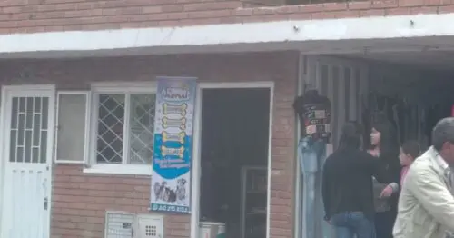 TIENDA PARA MASCOTAS JEZREEL TIENDA PARA MASCOTAS JEZREEL